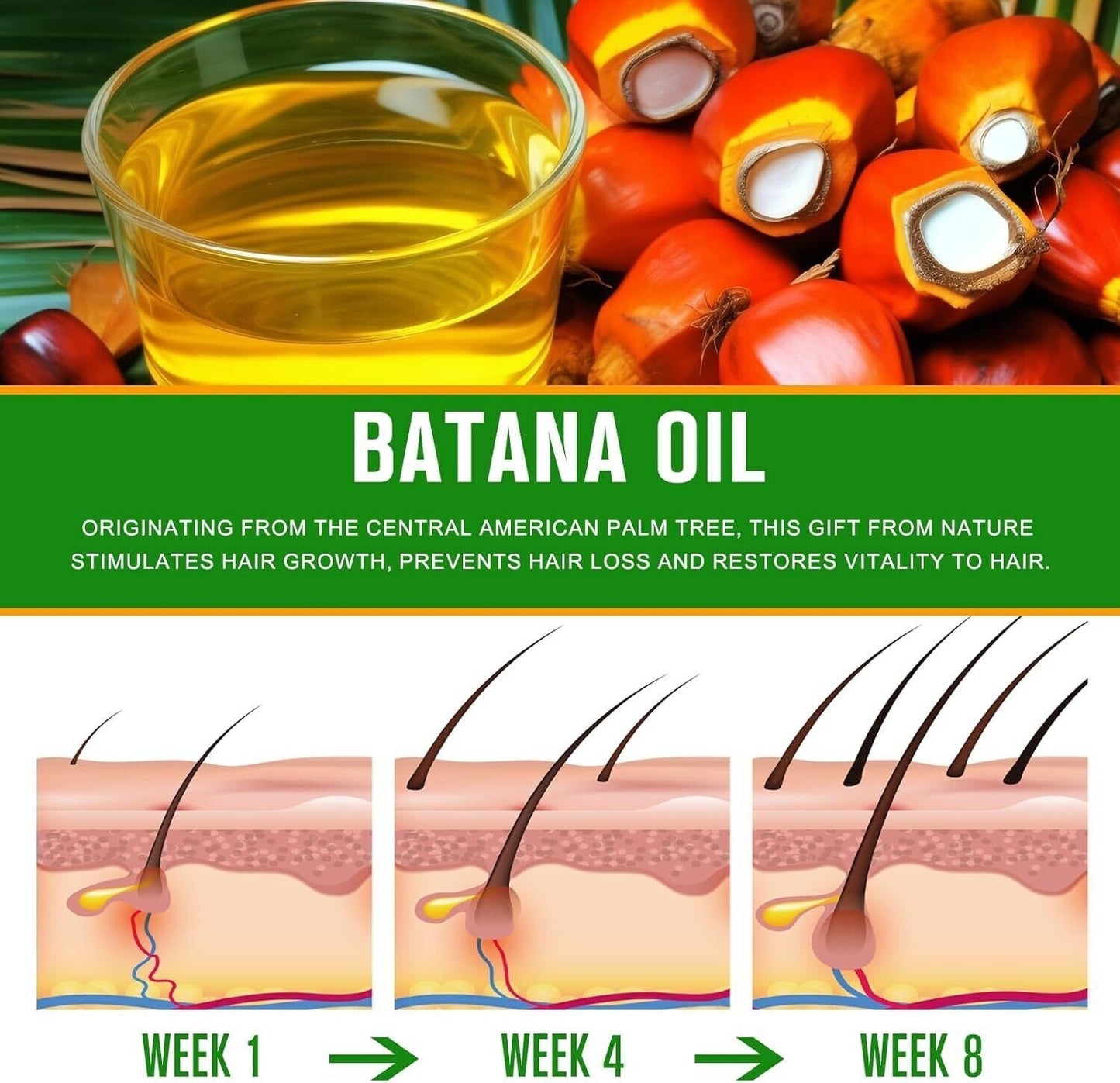Batana Oil for Hair Growth | 100% Pure & Natural Hair Repair & Strengthening Oil (60ml)